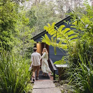 Kondalilla Eco Montville